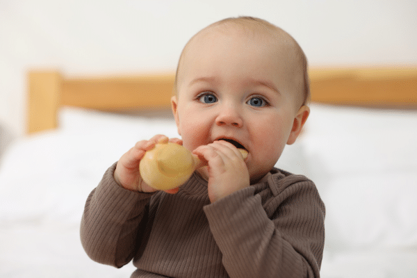 Newborn and infant dental care at San Marcos Kids Dentistry